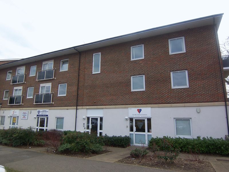 Main Image